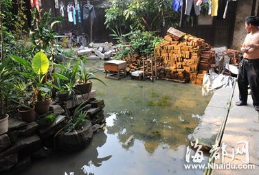 梦见院子里积满了水，梦见水5种征兆要发财