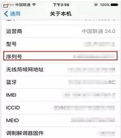 怎么查序列号