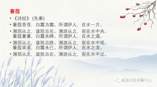 蒹葭朗读，蒹葭朗读音频