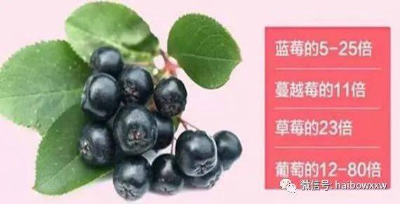 黑果花楸的功效