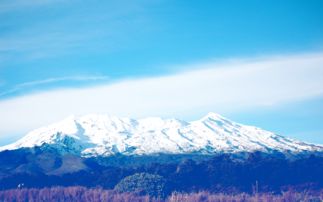 巍峨意思，殿宇巍峨意思