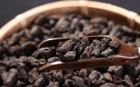 茶叶碎银子是什么茶，碎银子茶是什么茶种