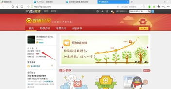 微博会员，微博会员可以看访客记录吗