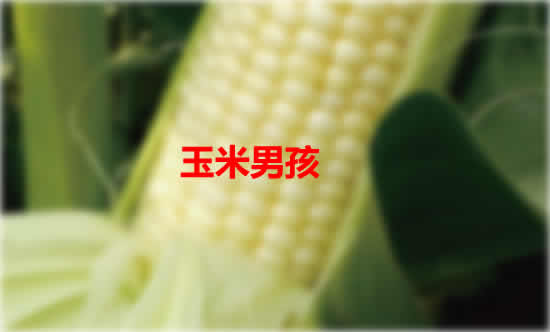 芝麻女孩和玉米男孩什么意思
