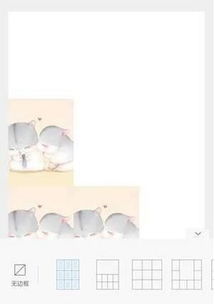 一张白图