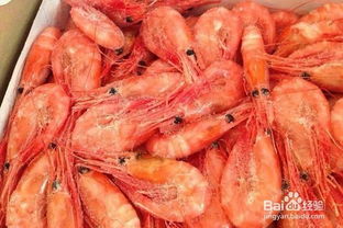 海虾怎么做好吃，海虾怎么做好吃又简单家常菜谱