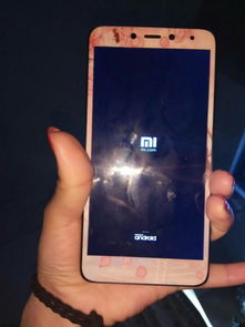 我的小米，我的小米app