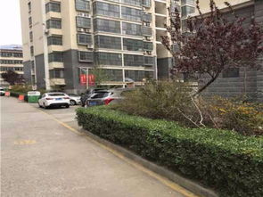 泰山家园，泰山家园APP是什么