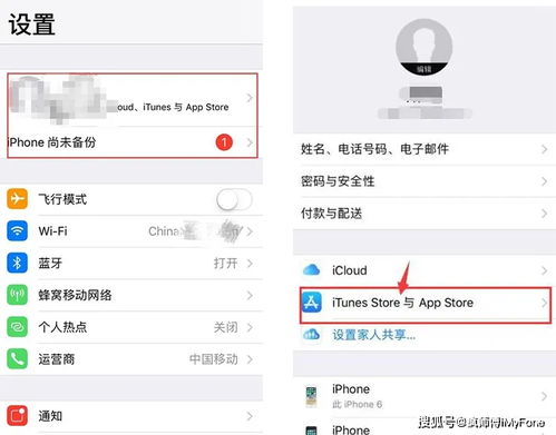 苹果购买的app怎么取消自动续费，苹果购买的app怎么取消自动续费支付宝