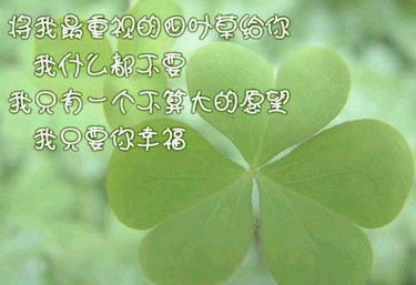 如何才能找到四叶草?