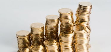 嘉实主题精选070010，嘉实主题精选070010还会涨吗