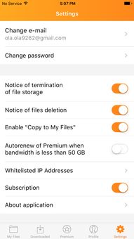 rapidgator，rapidgator怎么下载