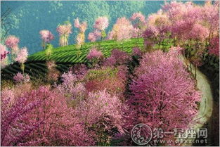 mar是几月份的缩写