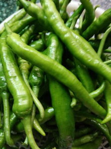 辣椒的椒怎么写