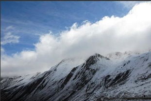排山倒海的倒的意思，排山倒海的倒什么意思?