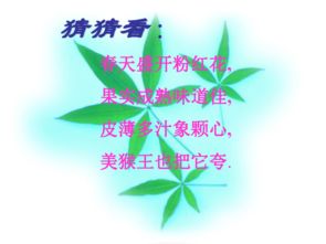 麻屋子红帐子白胖子分别指什么
