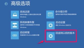 系统是什么意思