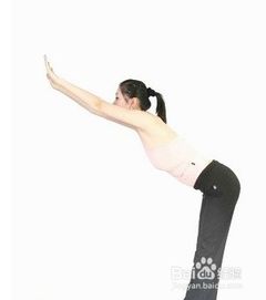 拉伸动作长高，拉伸运动长高正确做法