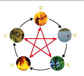 木五行有什么字