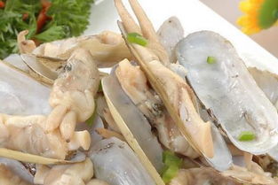 蛏子怎么清洗干净 怎样去除蛏子里的泥沙