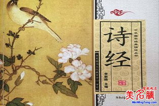 王姓女孩有涵养的名字，虎年女宝宝生辰八字取名免费