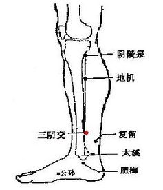 三阴交穴位在哪