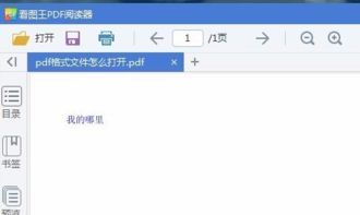 pdf格式用什么打开，pdf格式用什么打开比较好