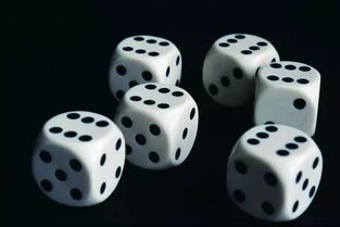 骰子的玩法，酒吧5个骰子玩法及讲解