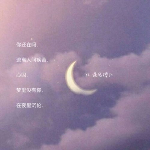 遗憾的网名，遗憾的网名两个字