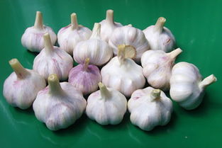 大蒜味道怎么去除，吃了生大蒜怎么去味