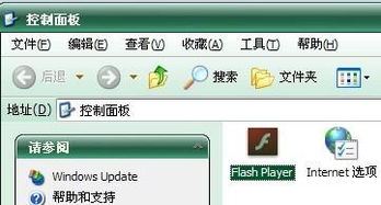 flash卸载对电脑有什么影响