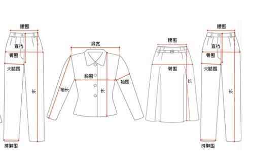 腰围64