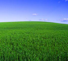 一碧千里是什么意思，一碧千里的碧是什么意思