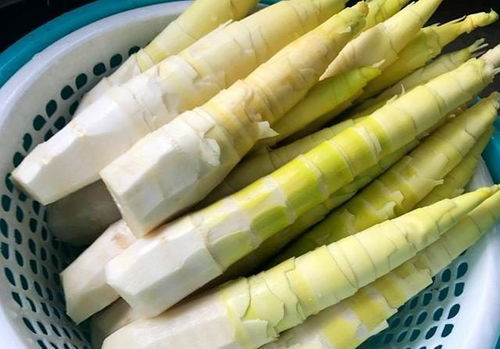竹笋如何焯水?