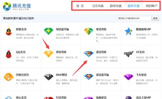 qq业务站