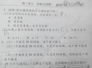 48的因数有哪些?