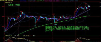 600,000,002,200,300,400等开头的股票都是什么意思