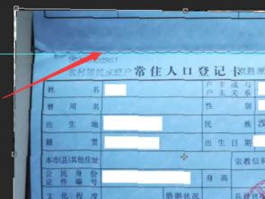 户口本页的尺寸大小