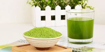 大麦青汁的作用与功效，大麦青汁的作用与功效和副作用