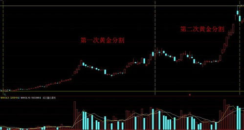 股票交易金，股票交易金额