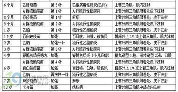 儿童预防接种表，0-6岁儿童预防接种表
