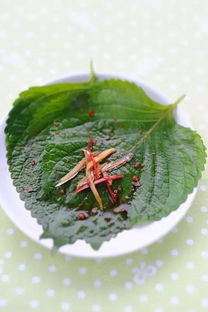 小银鱼怎样清洗