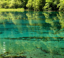四川九寨沟旅游，四川九寨沟旅游攻略自助游