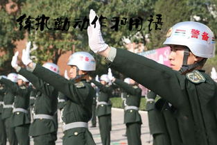 纠察兵，纠察兵为什么提前退伍