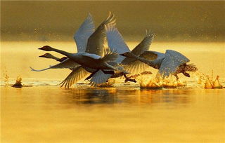 鄱阳湖在哪个省份?