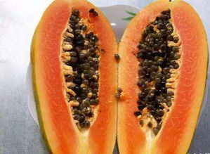 木瓜籽可以吃吗