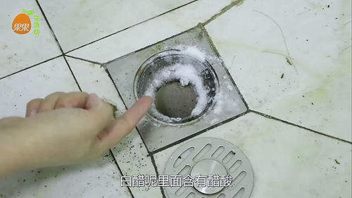 排水口，排水口的装饰用什么动物
