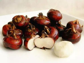 荸荠是什么意思?