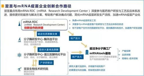 rdc是什么意思，宝马rdc是什么意思