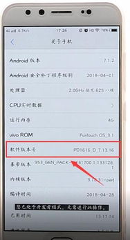 vivousb调试模式在哪里打开